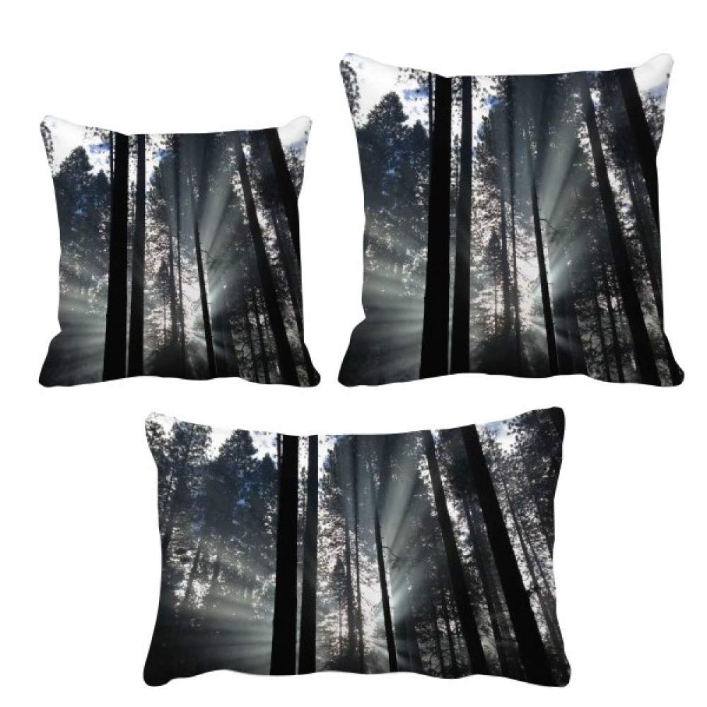 Parure de coussin motif forestier housse de décoration nature pour chambre et salon