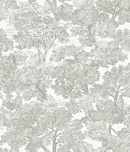Chesapeake Grey Spinney Toile Wallpaper...