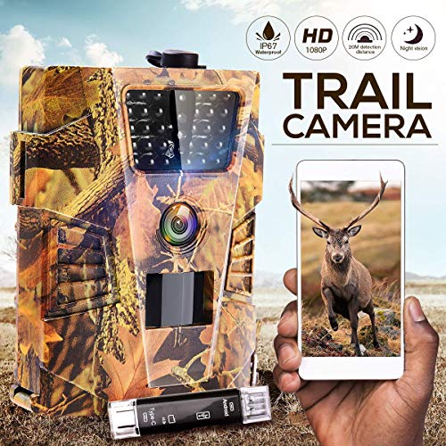 Controllers for Scene It? Lights, Camera, Action: The Movie Trivia Game (Xbox 360) - Rated T