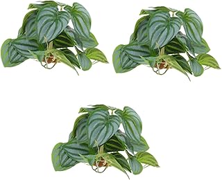 3 Pçs Caixa De Escalada Para Animais De Estimação Paisagismo Pequeno Terrário Terrários De Vidro Para Plantas Gecko Terrário Réptil Esconder Calças Terrário Decoração De Plantas