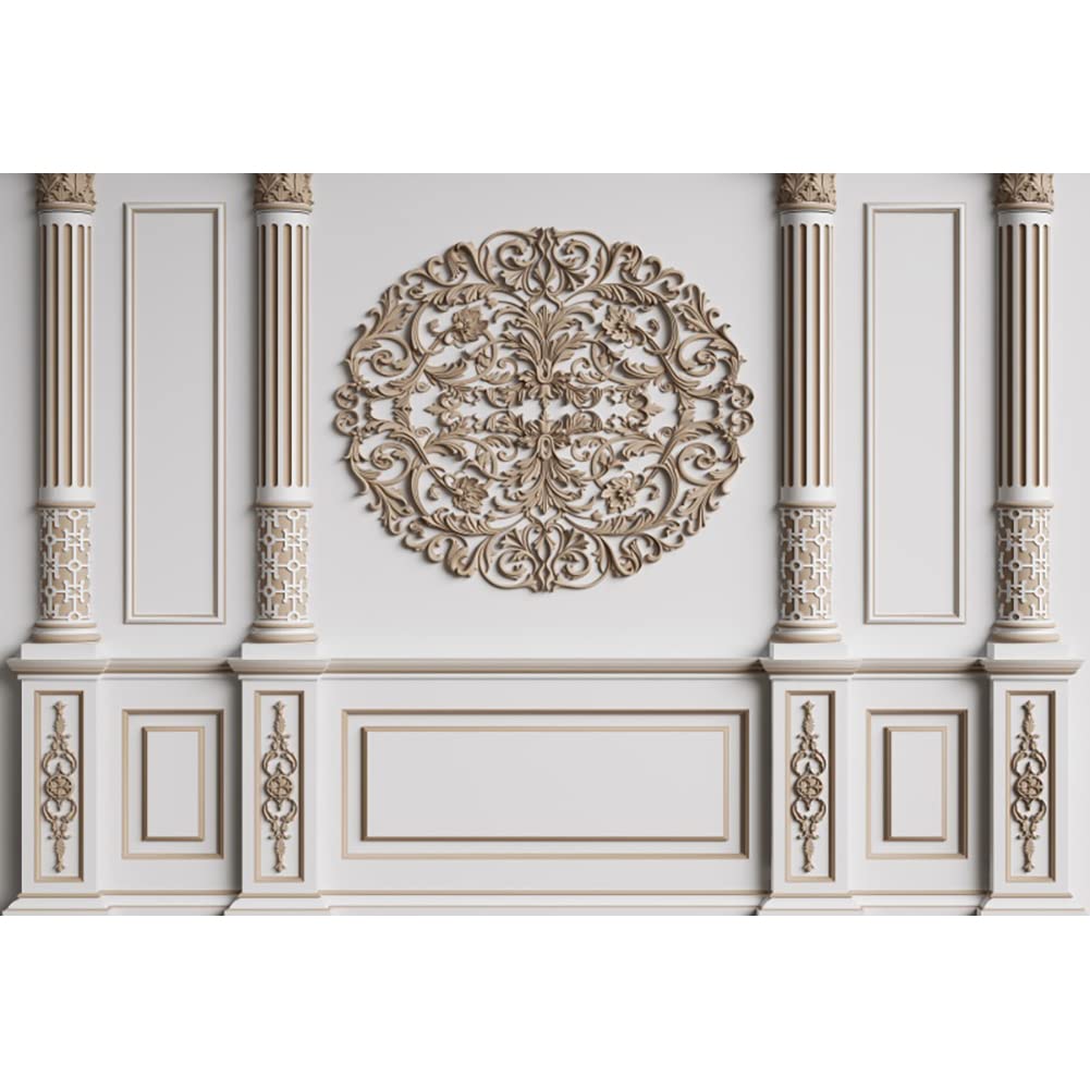 DORCEV 12x10ft Vintage Room Interior Backdrop European Frame Modern Unban House Decor Photo Background Retro Style French Castle Palace Cemetery Wall