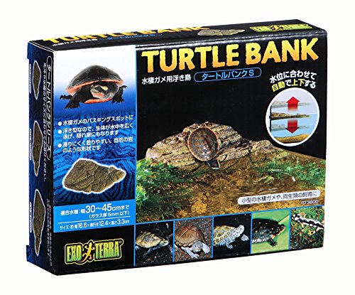 jekkusu Turtle Bank Small PT3800
