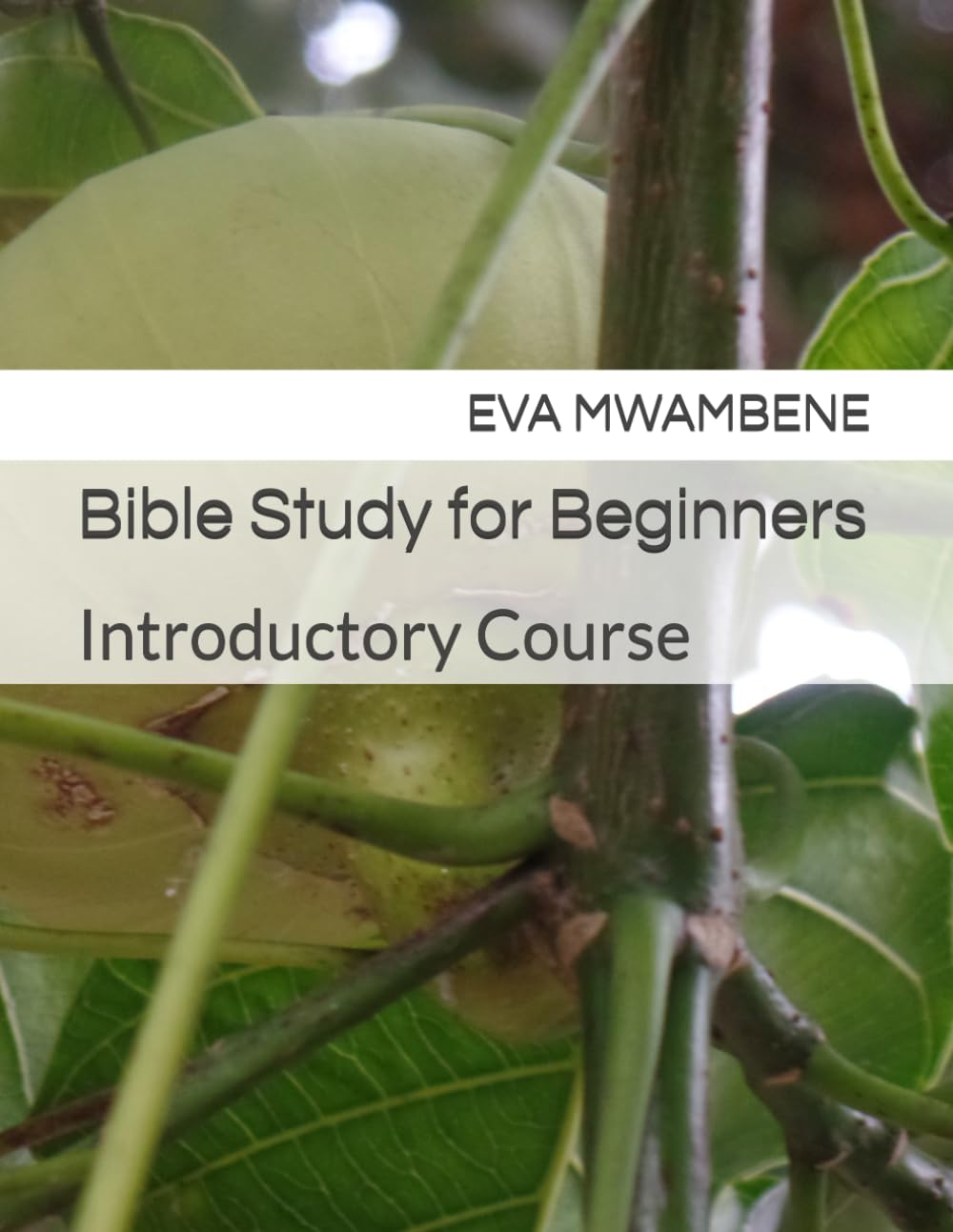 Bible Study for Beginners: Introductory Course (Bible Study Courses)