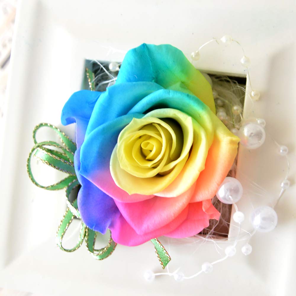 Amazon.co.jp: プリザーブドフラワーギフト レインボーローズ フレーム