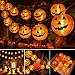 Qedertek Halloween Deko Garten, 4M 20 LED Orange Kürbis Lampion Lichterkette mit Batteriebetrieben, 2 Modi Wasserdicht Halloween Lichterkette für Außen Innen, Allerheiligen, Halloween Dekorations MI 4 günstig Kaufen-Qedertek Halloween Deko Garten, 4M 20 LED Orange Kürbis Lampion Lichterkette mit Batteriebetrieben, 2 Modi Wasserdicht Halloween Lichterkette für Außen Innen, Allerheiligen, Halloween Dekorations