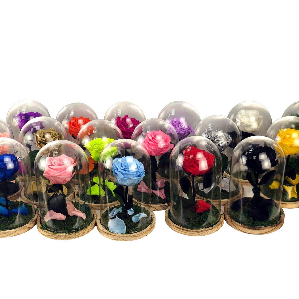 Mundo Eterno| Rosa Preservada Negra en Cúpula de Cristal | Rosa Eterna Natural | Regalo Original | 22x12 cm