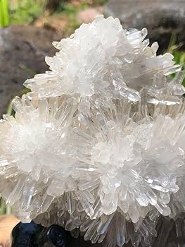 菊花水晶 クラスター AAA 最高級品質 610