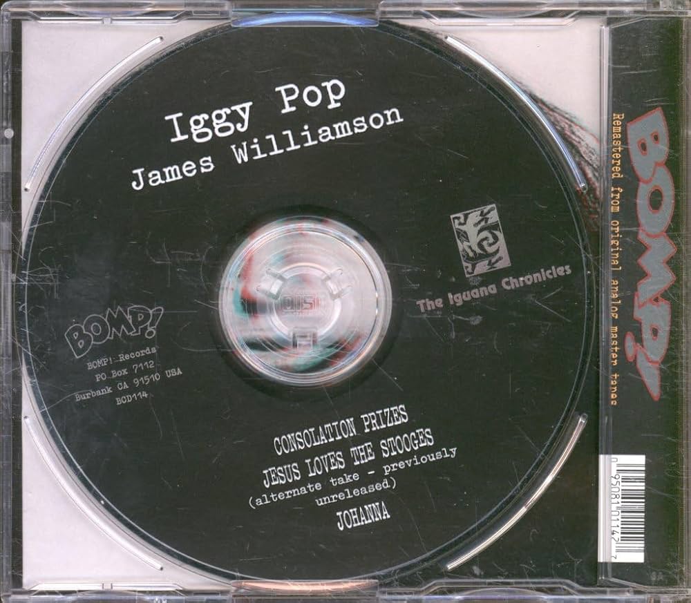 貴重　イギーポップ/ JESUS LOVES THE STOOGES レコード 0024583134_10.jpg