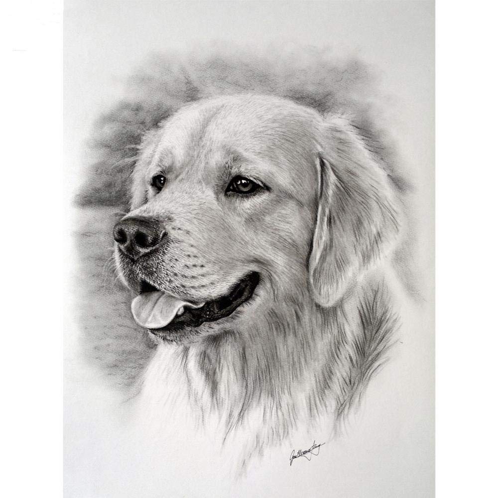 Malowanie diamentami Golden Retriever pies DIY 5D sztuka rzemiosło do domu dekoracja ścienna duże zdjęcia haft krzyżykowy malowanie według numerów kryształ górski zestawy do haftu pełne wiercenie, kwadratowy diament, 70 x 90 cm