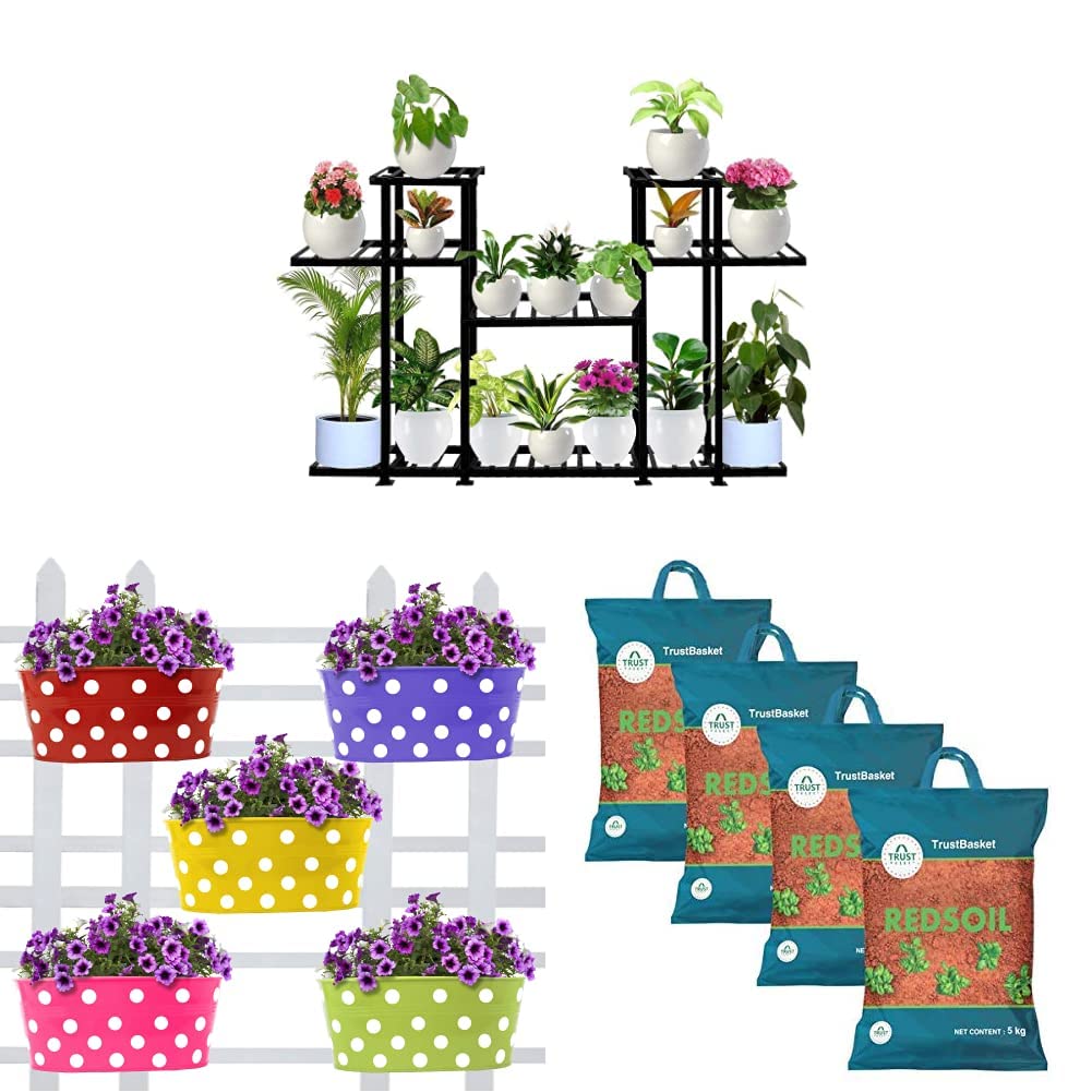 See full amazon price history chart for TrustBasket Aster Planter Stand - Black&Trustbasket Dotted Oval Railing Planters (Multicolour, Pack Of 5) Garden Red Soil - 20 Kilograms TrustBasket Aster Planter Stand - Black&Trustbasket Dotted Oval Railing Planters (Multicolour, Pack Of 5) Garden Red Soil - 20 Kilograms (B0BC29F8KV) Amazon Price History, Amazon Price Tracker