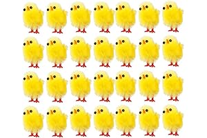 Besportble 60Pcs Mini Squishy Chicks