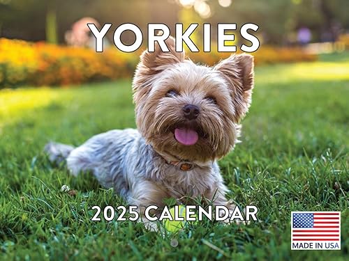 Vista 193 de Calendario Goldendoodle 2026 Golden Doodle mensual de pared calendario de 12 meses Fabricado en Estados Unidos