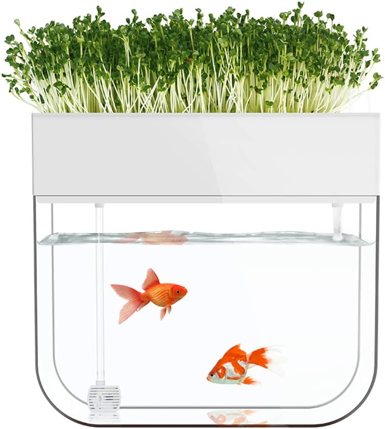 AMZ BCS Aquaponic Water Garden Fish Tank, Cube Aquarium Starter Kit,for Home/Desk/Bar/Window Sill/Restaurant Decor
