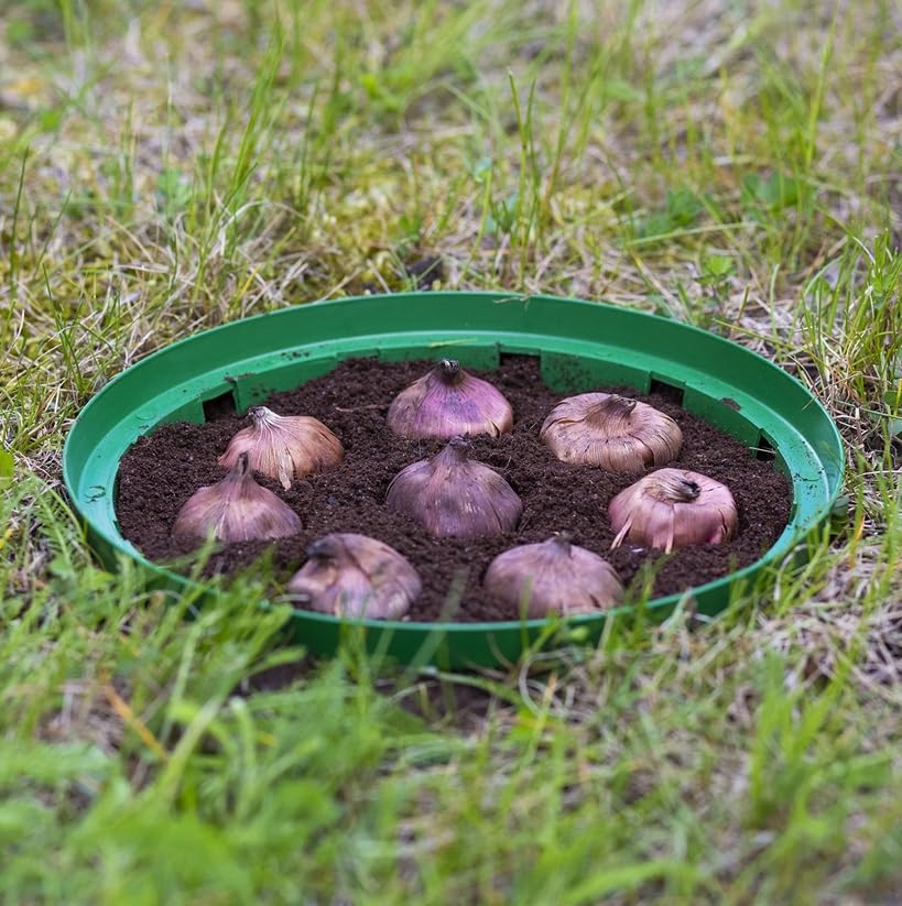 Form Plastic 10x Robuste Blumenzwiebel Pflanzschale Ø18 10er Set Zwibelpflancenschalen – Ansicht 5