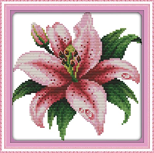 Kit point de croix pré-imprimé cadeau de Noël ou anniversaire idée DIY fleur éventail