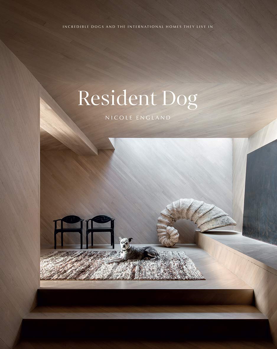 RESIDENT DOG V02 Hardcover – 10 November 2020