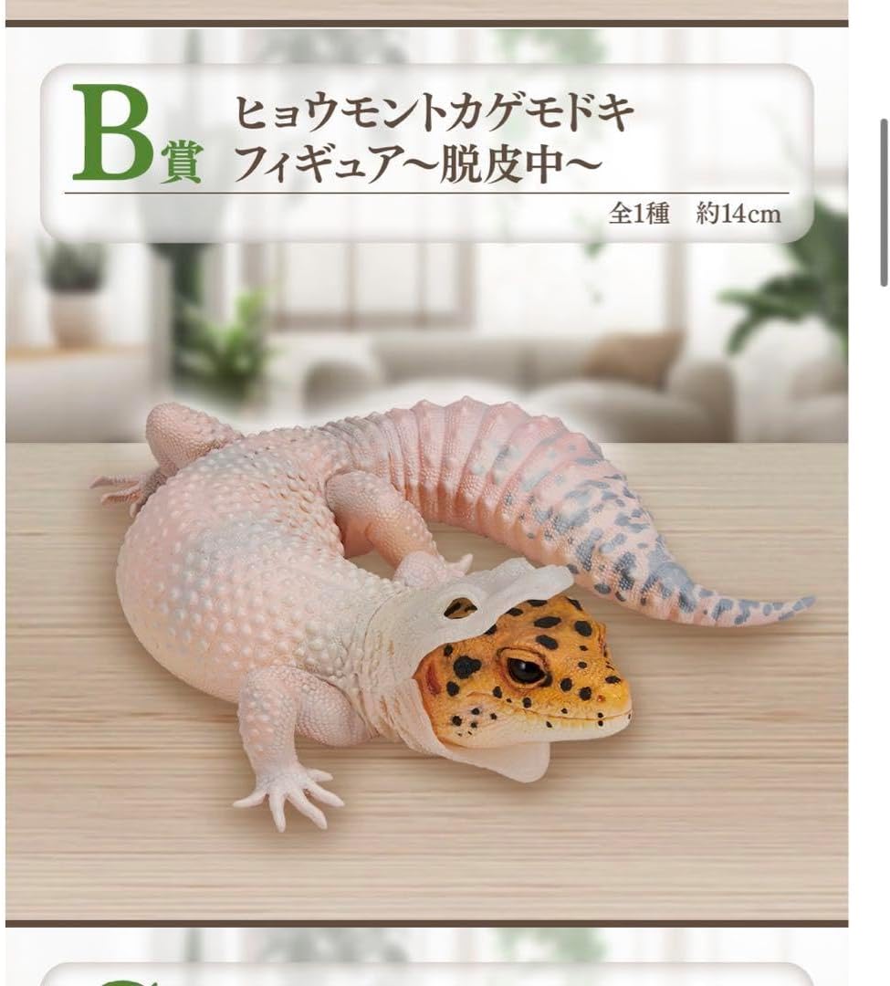 一番くじ 爬虫類両生類 A賞フトアゴヒゲトカゲ B賞ヒョウモン 一番くじ 爬虫類両生類 A賞フトアゴヒゲトカゲ B賞ヒョウモン