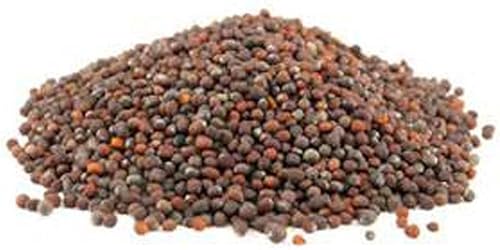 Semillas de brócoli sin OMG para brotar brotes microverdes 4 onzas de Pure Seed Country Creek LLC Marca