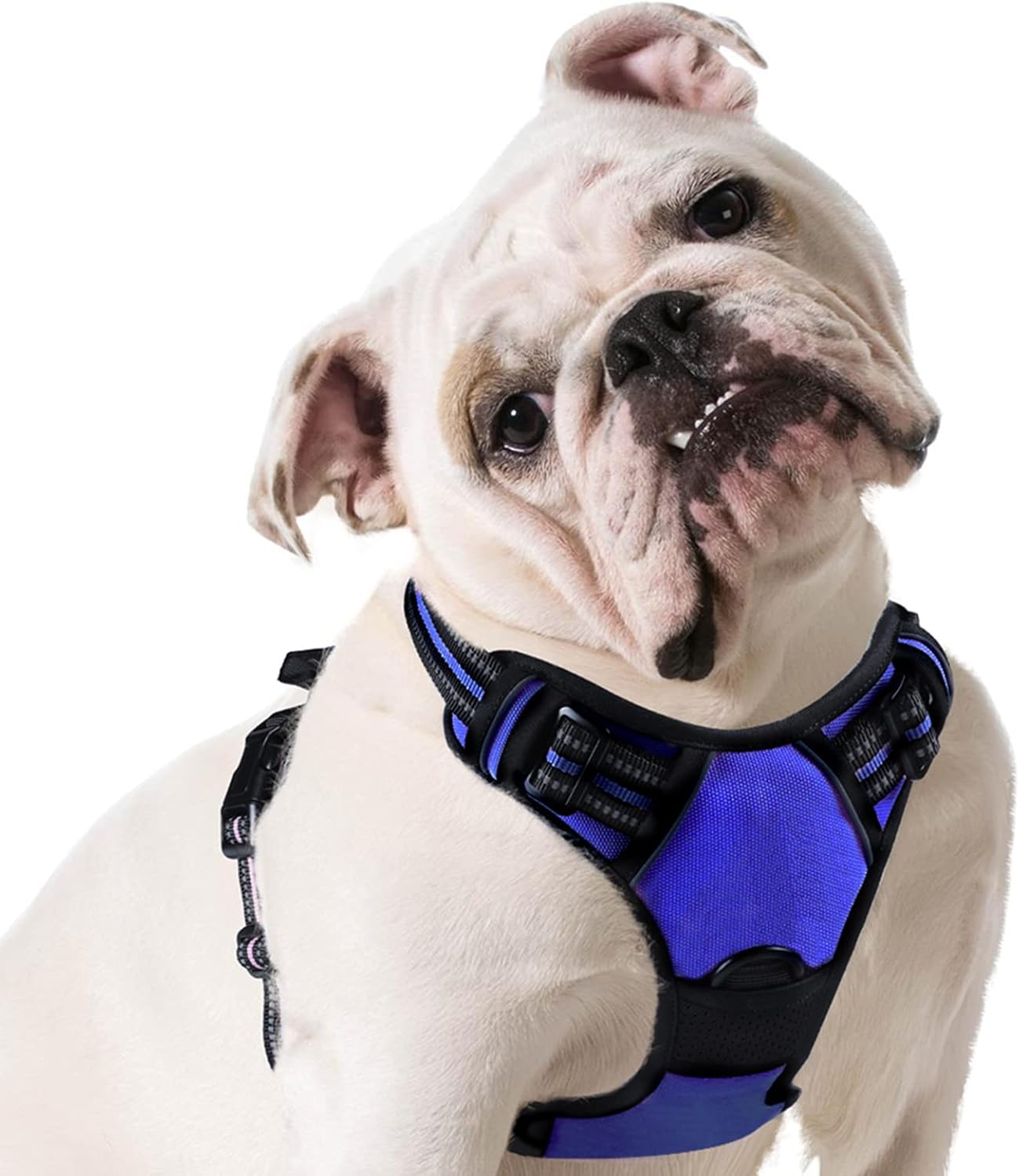 Eagloo Dog Harness Medium, No Pull Pet Harness Adjustable, Front Clip