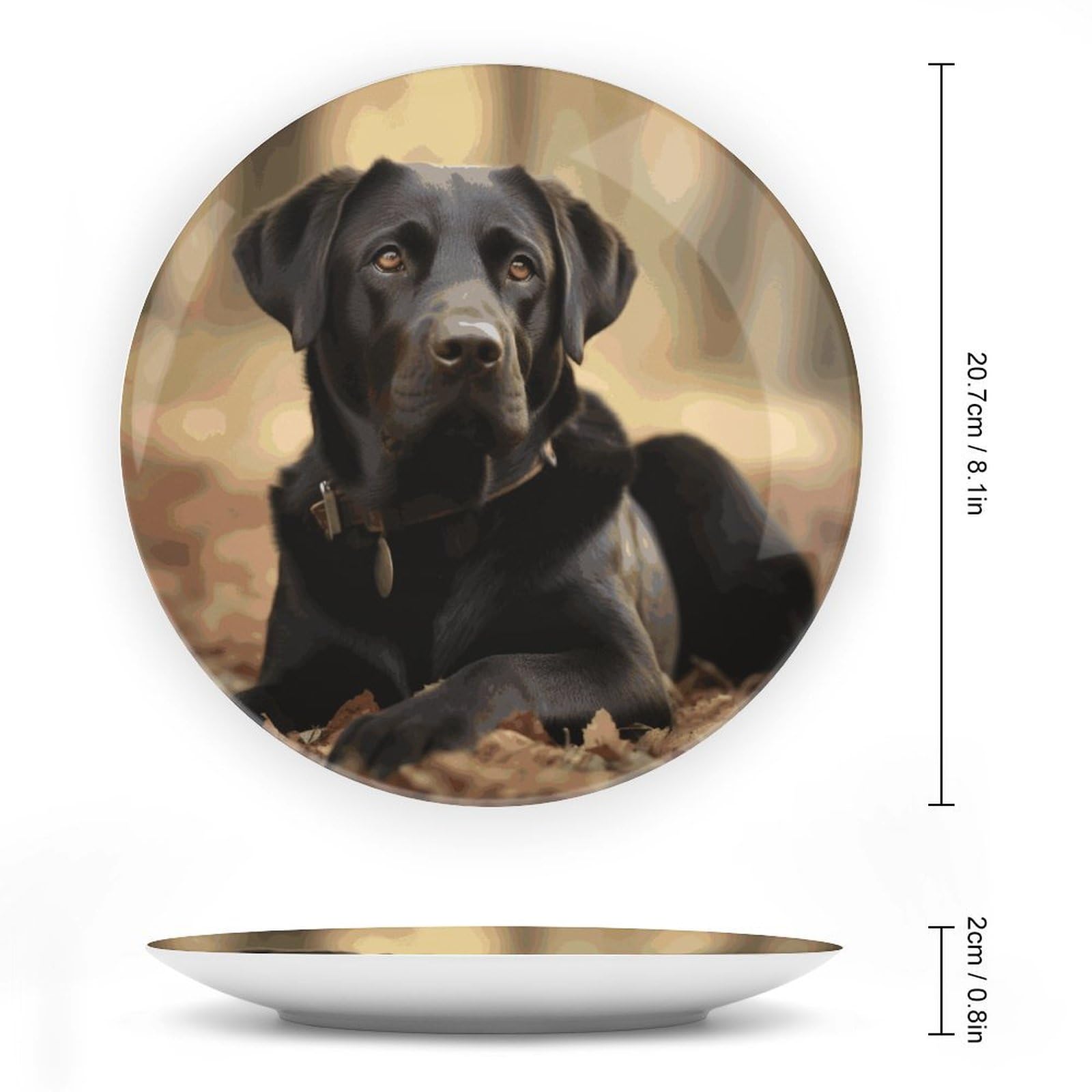 Piatti decorativi in ceramica da 20,3 cm, con simpatico cane labrador, piatti decorativi in porcellana con espositore fatto a mano, ornamento in ceramica per casa, cucina, camera da letto