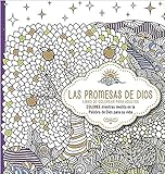 Las promesas de Dios: Libro de colorear para adultos. Coloree mientras medita en la Palabra de Dios para su vida (Spanish Edition)