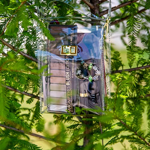 INICAT Small Clear Purse for Women Stadium Approved Crossbody Bag Cute Transparent Handbag for Stadium Events Concerts3