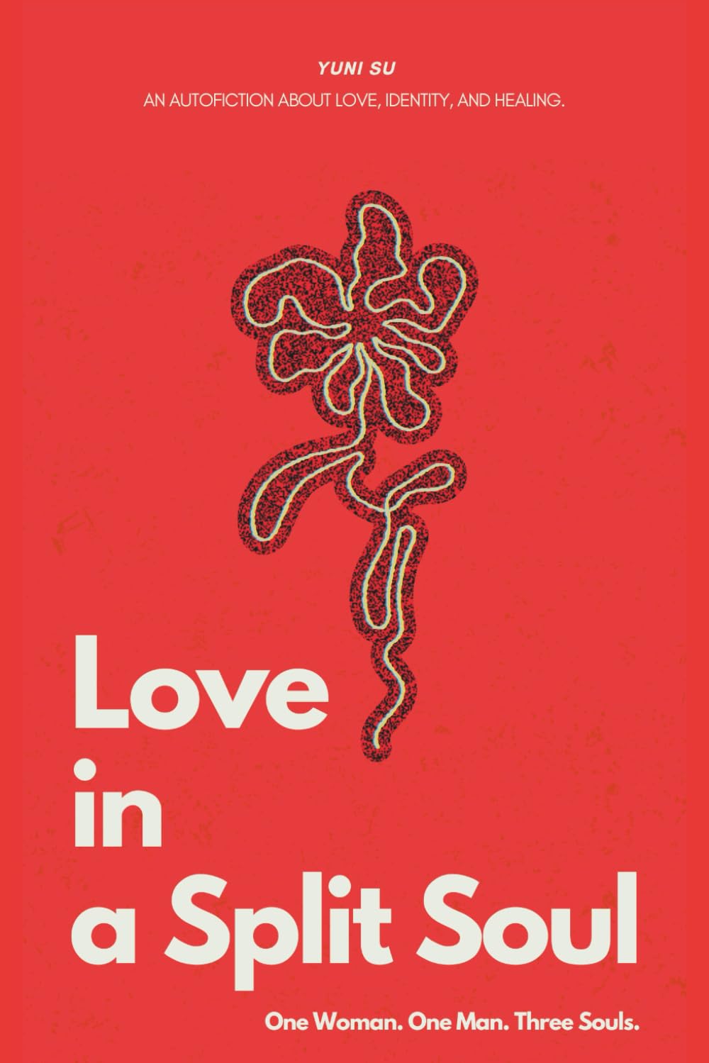 Love in a Split Soul: A raw, deep autofiction about love, obsession, and the thin line between devotion and destruction.
