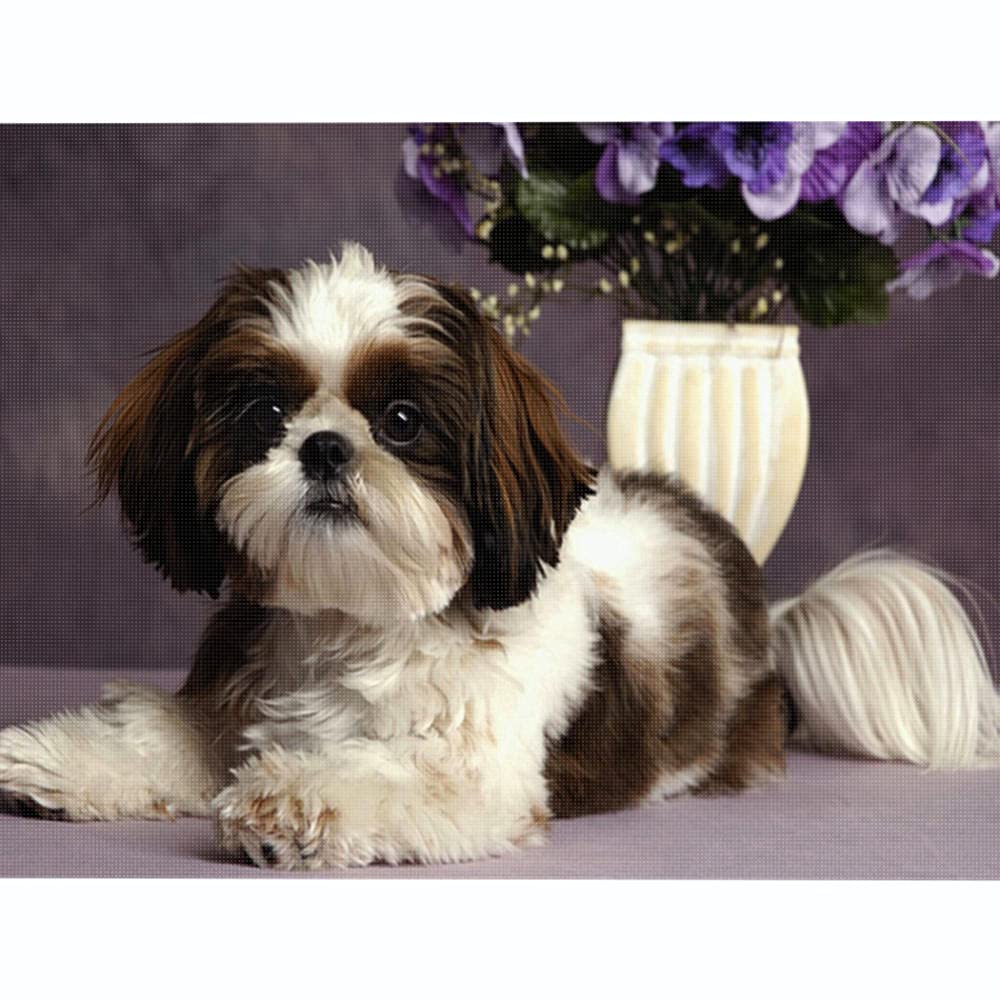 Kit Point De Croix Complet Shih Tzu 11CT 50x70 Cm - Toile Imprimée, Fils, Aiguille, Ciseaux - Pour Débutants Et Adultes