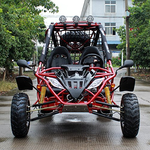 dongfang 200cc go kart