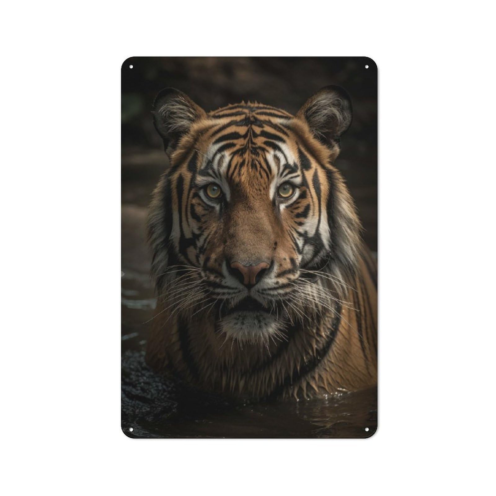 Junmoney Style-12 Tiger Wildlife Portrait Everyday Metal Wall Decor 30X20cm, Decorative Tin Plaque For Flat, Dorm Room, Lounge Or Cafe