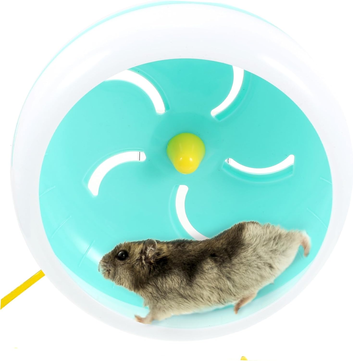 COLLBATH Hamster Running Wheel Silent Exercise Wheel for Mice Animals Design for Cage Use Storage Color Options