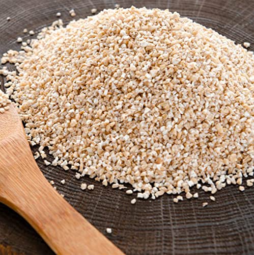 Image of Vasani G Barley Daliya | Hulled Joo Jau Dalia | Jow Lapsi Rava Jola Uppittu Jonna Pindi Korralai Javvarisi Cereal Porridge Broken Grain - 1 kg