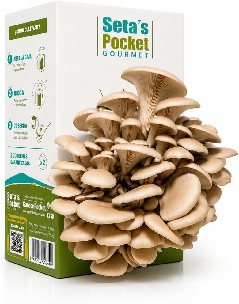 Mush Boom — kit per coltivare funghi Pleurotus in casa, pronto all'uso