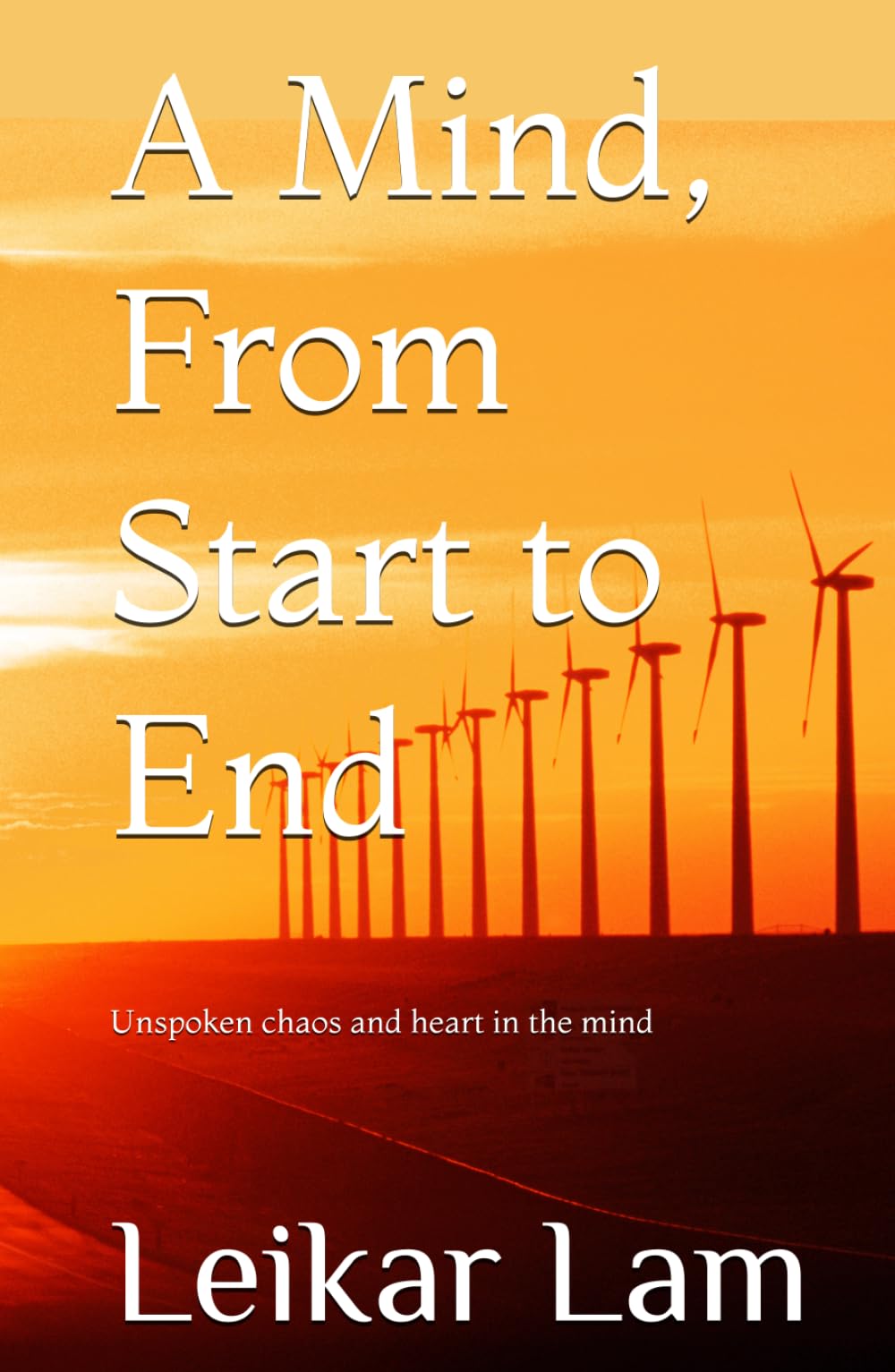 A Mind, From Start to End: Unspoken chaos and heart in the mind