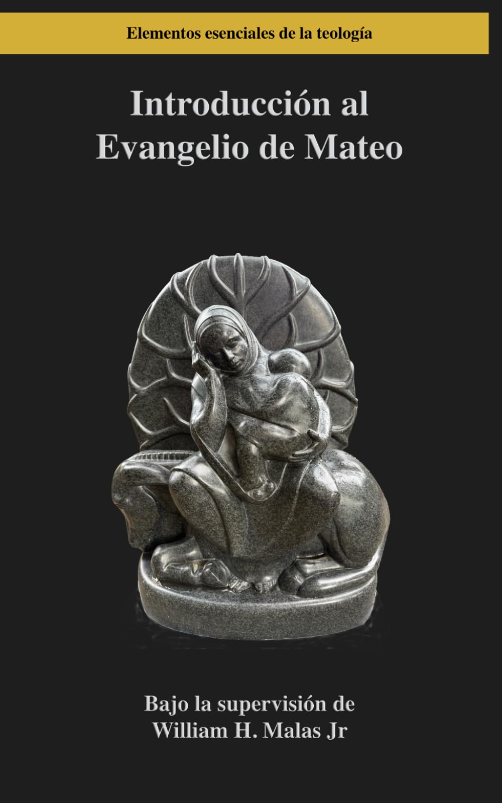Introducción al Evangelio de Mateo (Elementos esenciales de la teología)