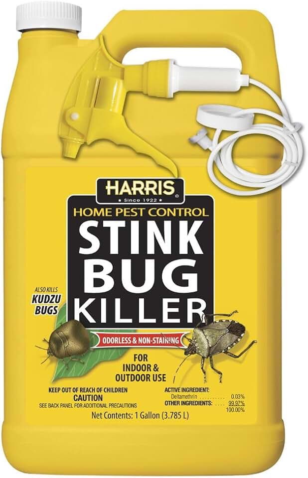 Stink Bug Trap