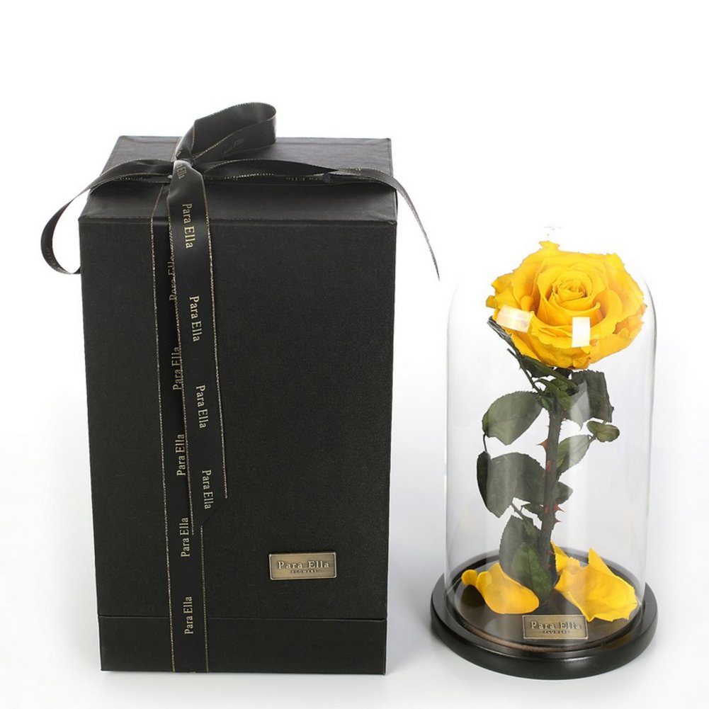 Rose Éternelle Jaune sous Cloche en Verre Petit Prince Géante | Fleur Immortelle Déco Noël