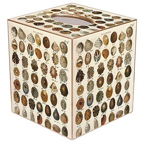 Brown Shells Paper Mache Tissue Box Cover