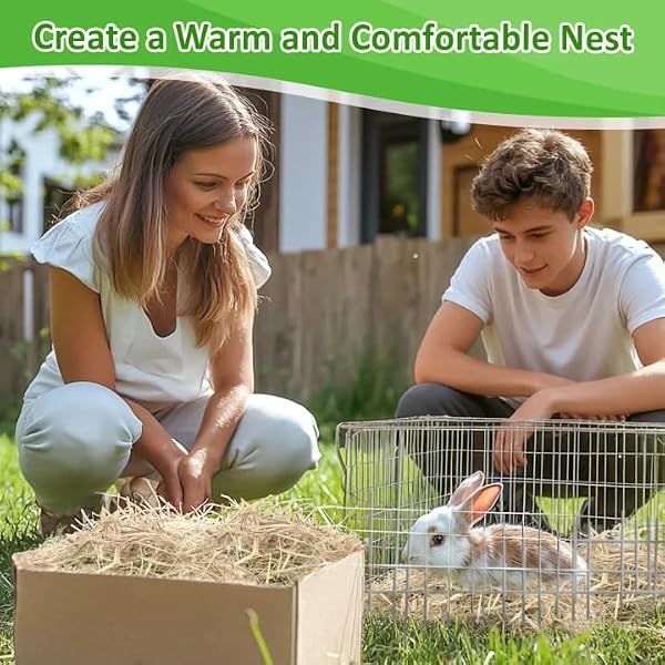 MAQIHAN Natural Straw for Small Animals Bedding - Dry Straw,Garden Straw,Animal Hay Bedding Nest Chaw Toy Bed,Sleeping,Chewing,Nesting and Toys for Rabbits,Bed Mat (5.92, Ounces) by MAQIHAN - Image 7