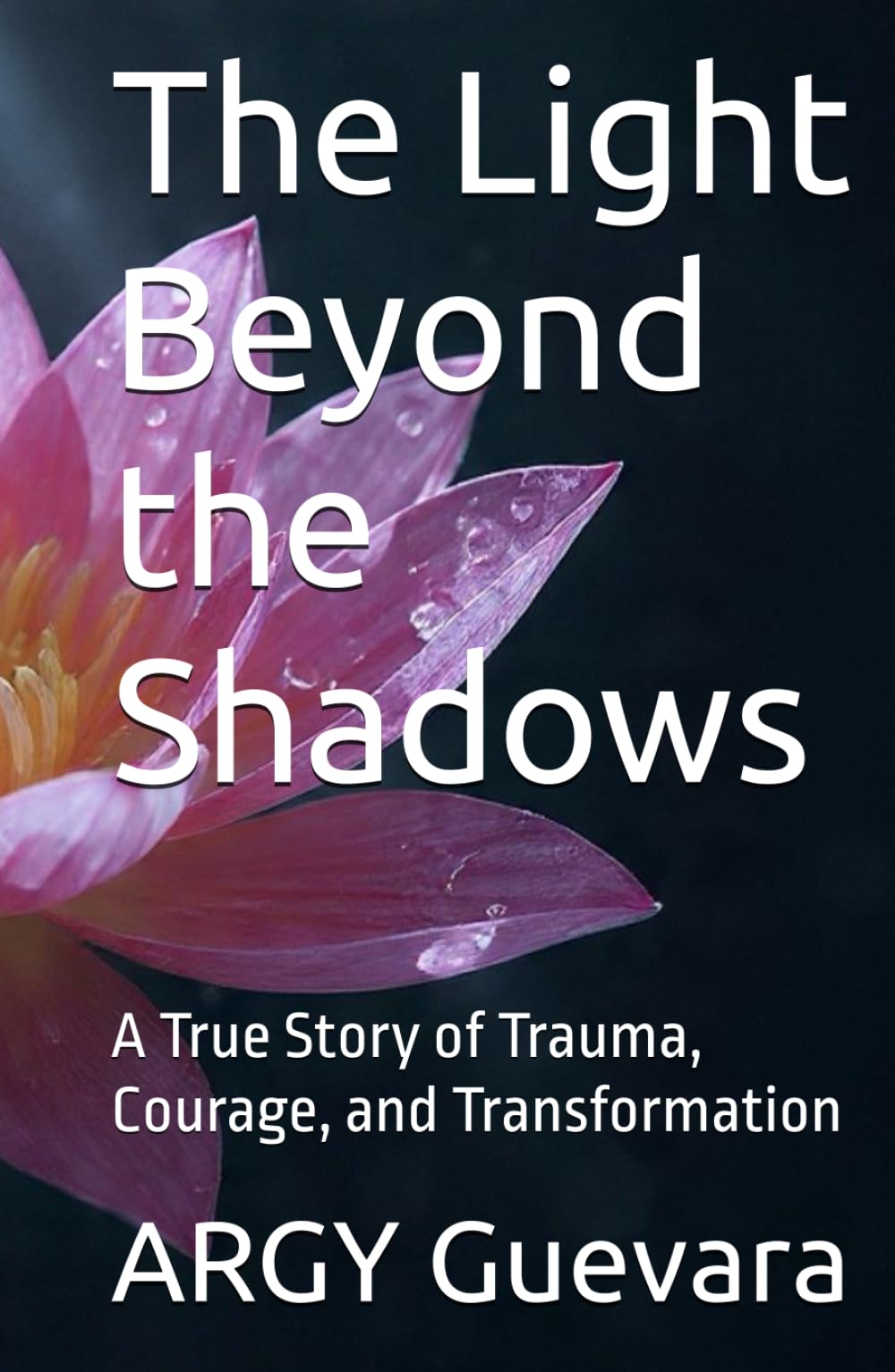 The Light Beyond the Shadows: A True Story of Trauma, Courage, and Transformation