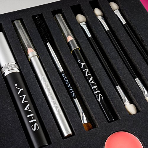 Shany Beauty Book Makeup Kit – All In One Travel Makeup Set - 35 Colors Eye Shadow, Eye Brow, Blushes, Powder Palette,10 Lip Colors, Eyeliner & Mirror - Holiday Makeup Gift Set #TOP6