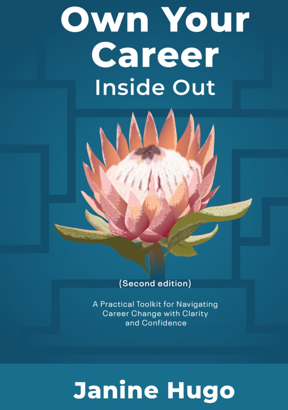 Own Your Career Inside Out (Second edition): A Practical Toolkit for Navigating Career Change with Clarity and Confidence