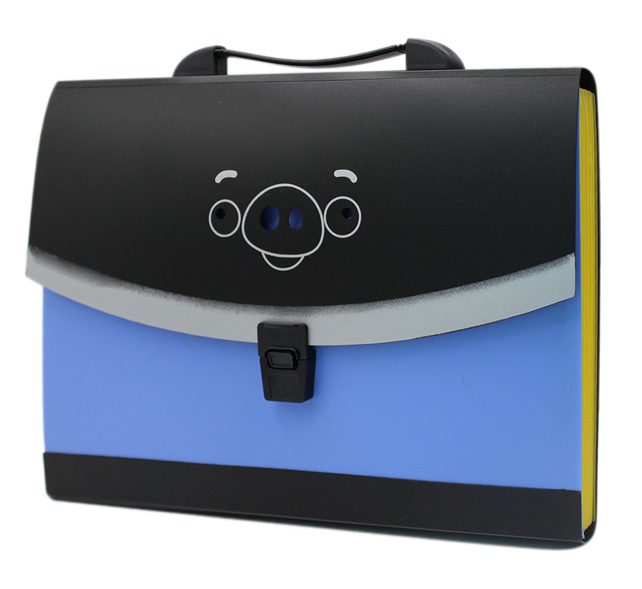 Cuddty Portable A4 Expandable Accordion File Organizer with Handle Document Holder File Folder Stand Bag,13 Pockets