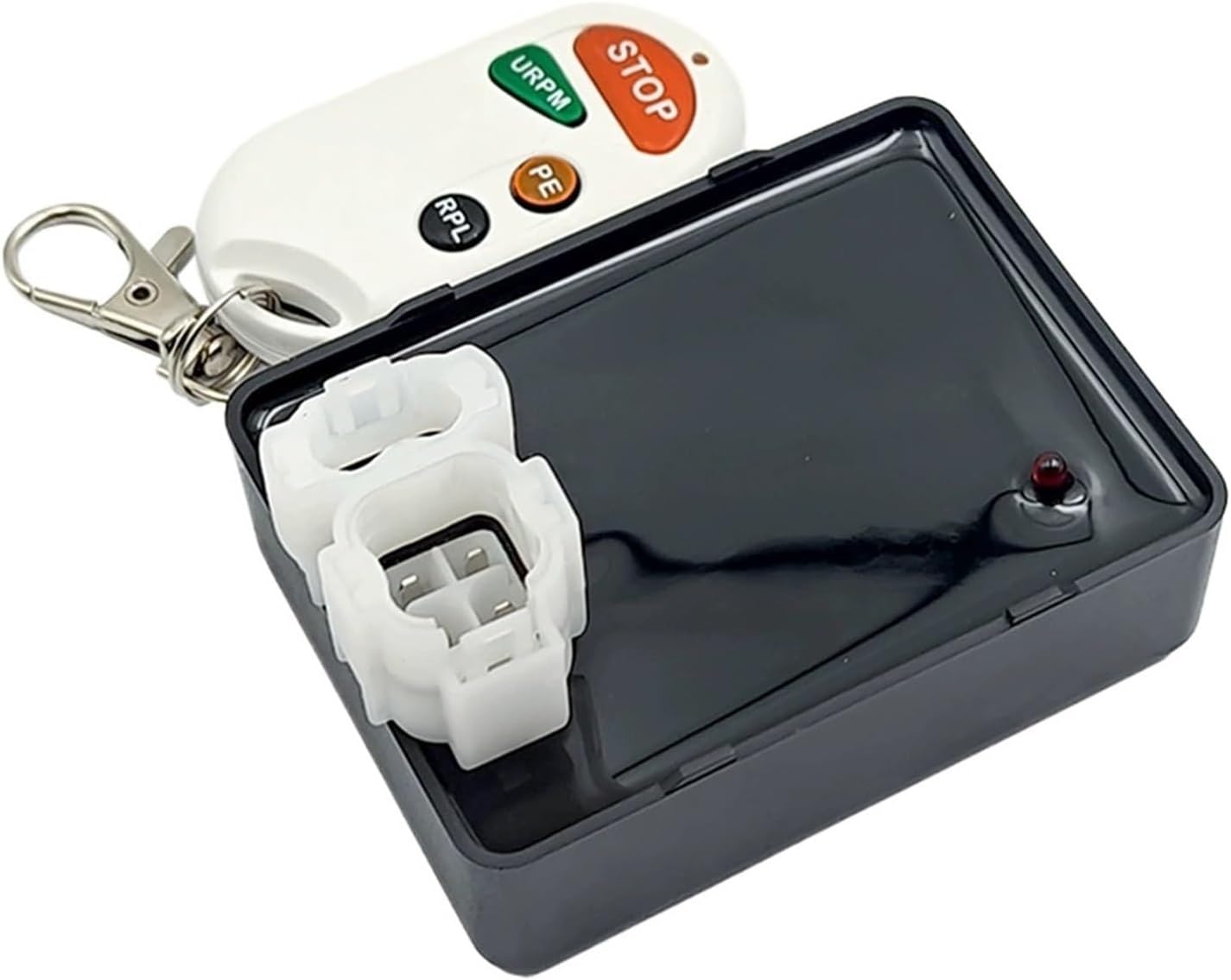 アガパンサス ブリッツプレステージ ダブルダイヤモンド ブルー