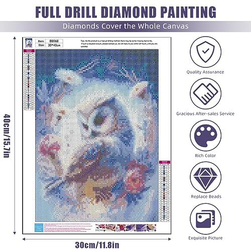 Image of HASTHIP Diamond Painting Kit, 11.8x15.7inch Owl Diamond Painting, 5D Diamond Painting Kit for Adults & Kids, Suitable for Home Leisure and Wall Decoration, Gift for Kids and Adults