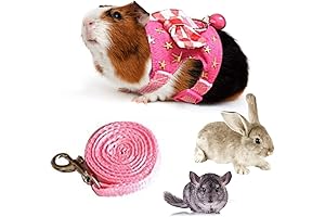 Small Animal Harness with Cute Bows