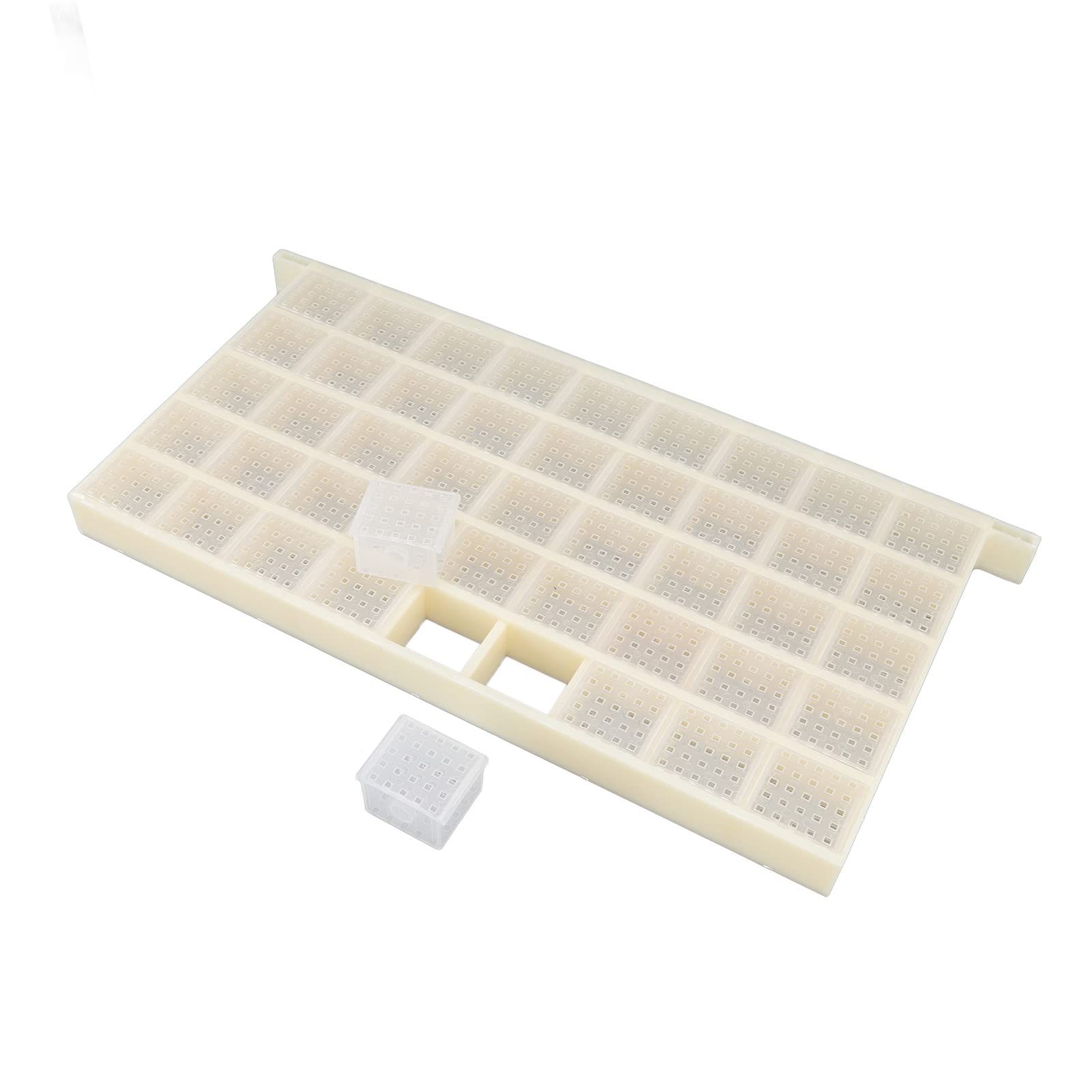 RIMOALBee Storage Box, Large Capacity Queen Bee Storage Device Reliable Facilitate Feeding Neat for Queen Rearing