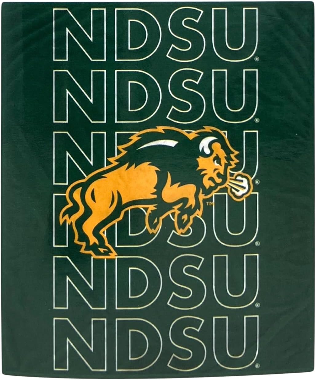 Pegasus Sports NCAA Echo Team Wordmark Plush Blanket, Team Color, 60x70 (Prairie View A&M University)