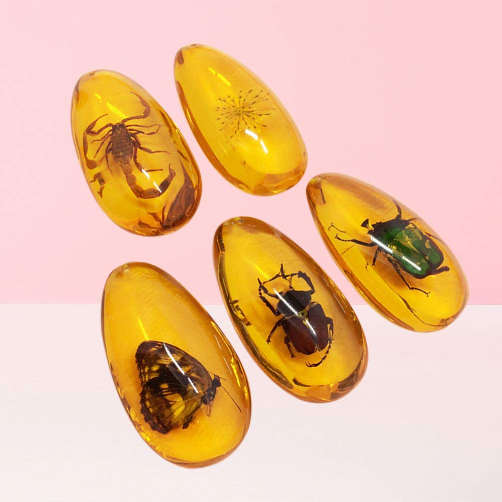 LIOOBO Fósil Ámbar con Muestras de Insectos Piedras Especímenes de Cristal Colección de Decoradores para El Hogar Colgante Ovalado para Niños (Patrón Aleatorio)