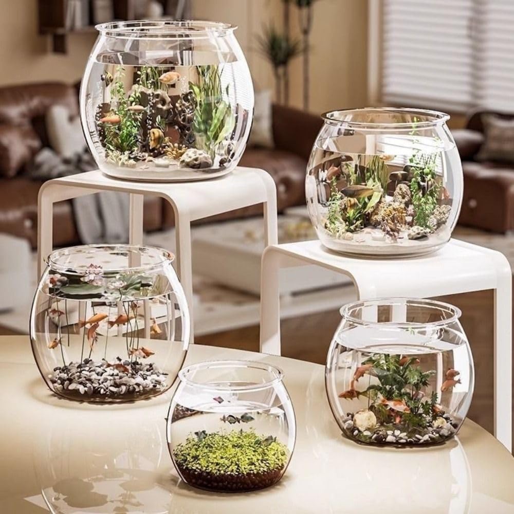 Runde Fischschale, klare Fisch-Aquarien, Heimdekoration, Wassertierbehälter, Hydrokultur-Pflanzenvase für Tisch-Wohnzimmer (M)